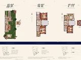 奥园海泊澜湾_3室2厅2卫 建面161平米