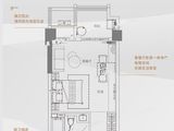 奥园城央壹品_1室1厅1卫 建面56平米