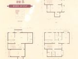 绿洲湾8号_4室3厅2卫 建面357平米