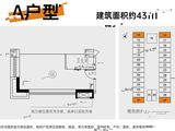 PolyTheFace_1室1厅1卫 建面43平米