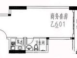 龙成国际_平层公寓乙01户型 建面50平米