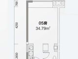 招商依云国际_1室1厅1卫 建面34平米