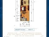 祁阳国际博览城_1室2厅1卫 建面50平米