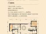 富华朝阳公馆_4室2厅2卫 建面125平米