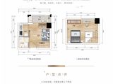 马来西亚园M11_1室1厅1卫 建面29平米